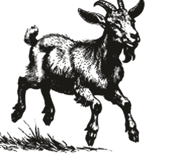 Engraving of goats