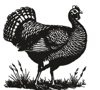 Engraving of turkeys