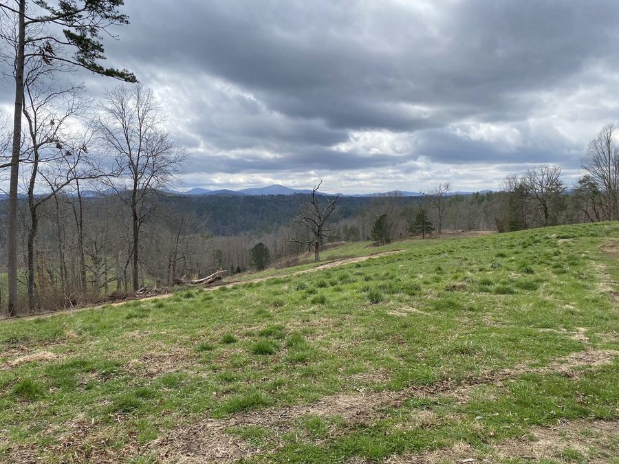 Green pasture with scattered trees and distant ridges under heavy clouds