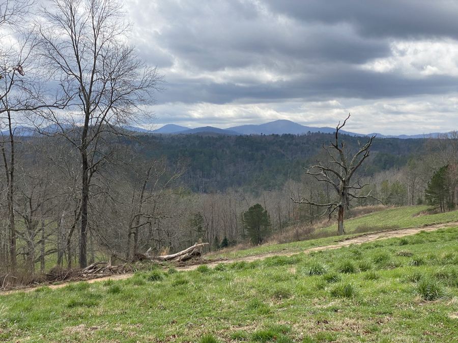 Pasture and bare late-winter trees, with ridges behind