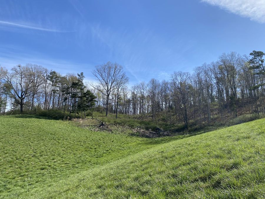A green pasture dipping toward a valley, with bare trees beyond