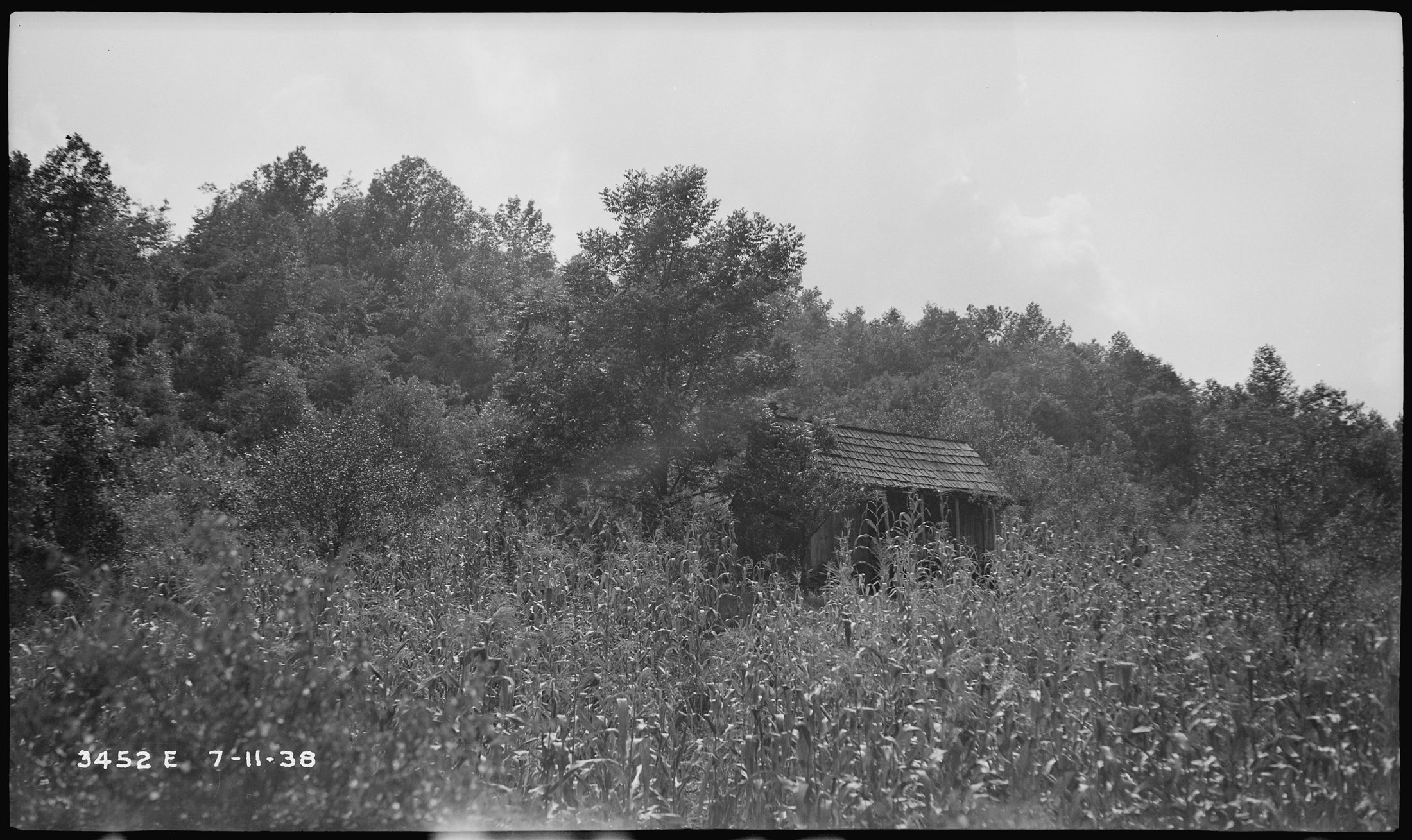 Finley Morrow's homestead and outbuildings