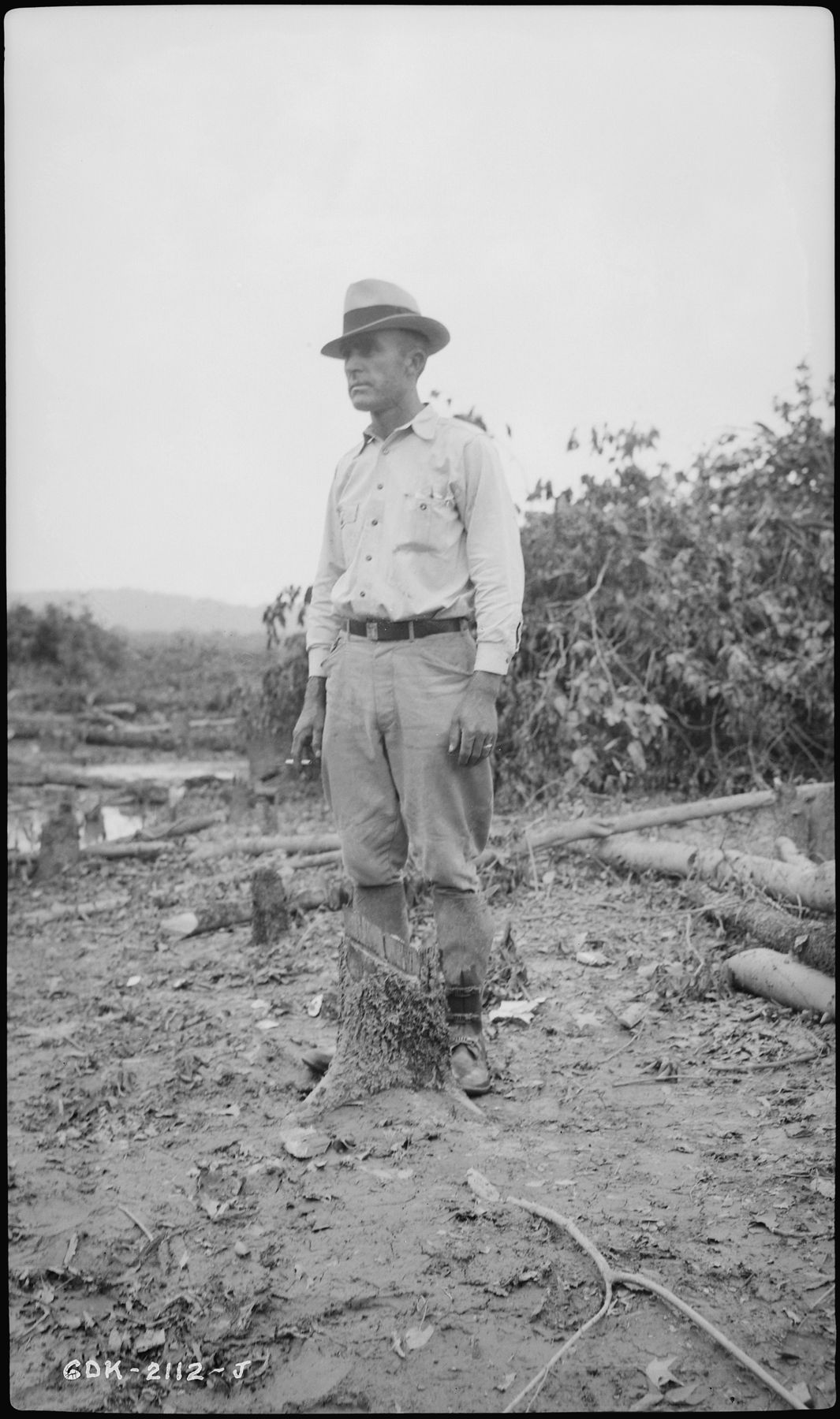 Clearance foreman Mr. Lockett standing among cut timber
