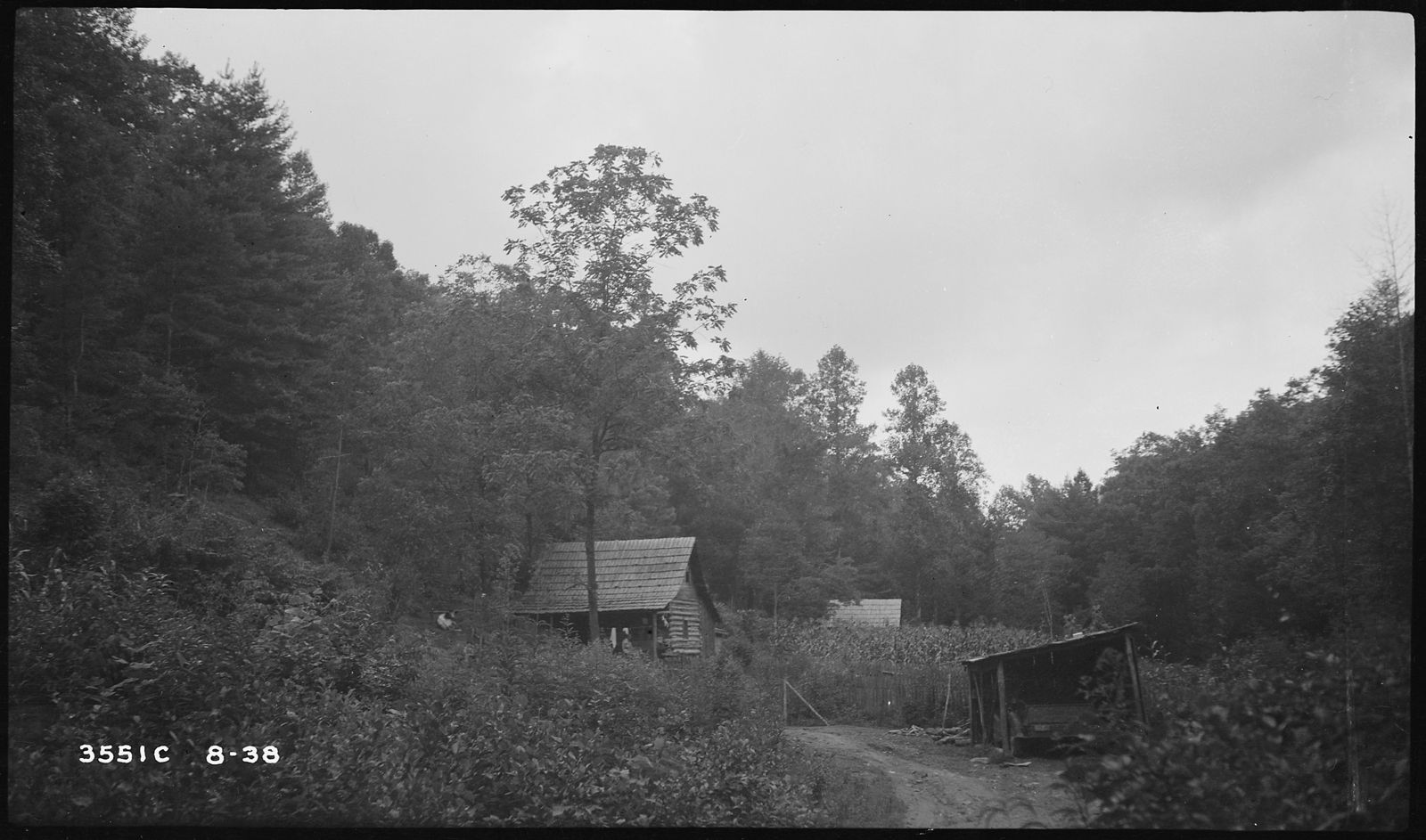 Jim Morrow's home among trees, 1938
