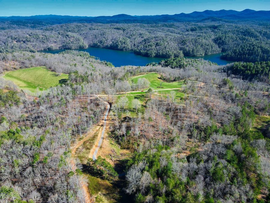 Aerial view of green fields and bare spring woods running down to the lake