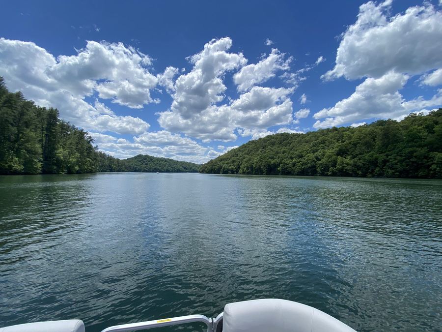 A wide view of the lake and forested hills under a bright sky with white clouds