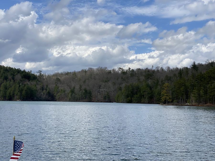 A tree-lined shore across calm water under big clouds
