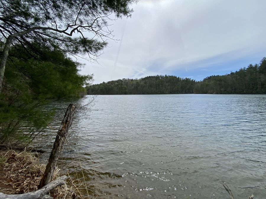 Still water and a wooded far shore, seen from the bank past a branch