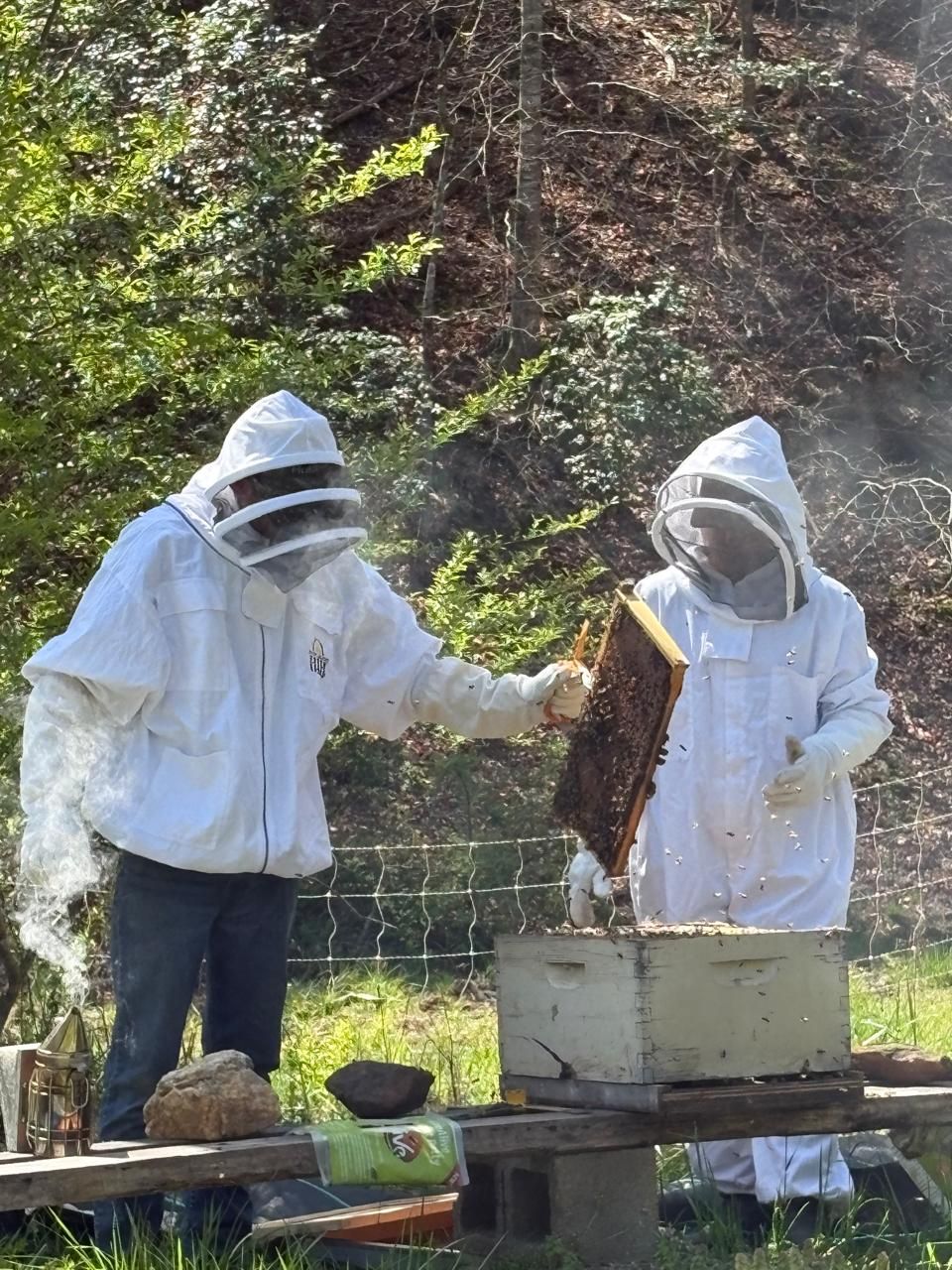 Two beekeepers lifting a frame from a hive