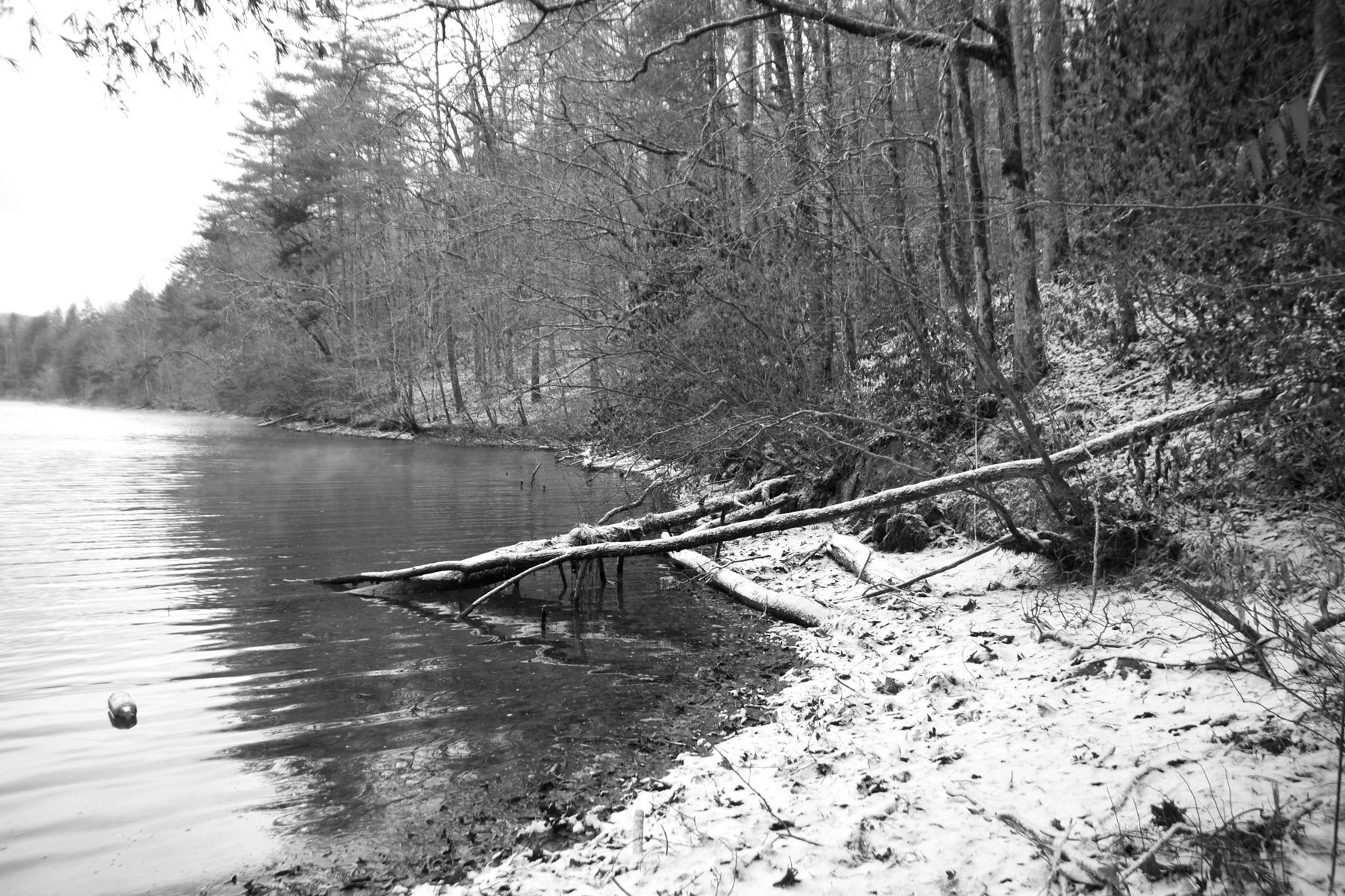Snow along the wooded shore of Lake Apalachia